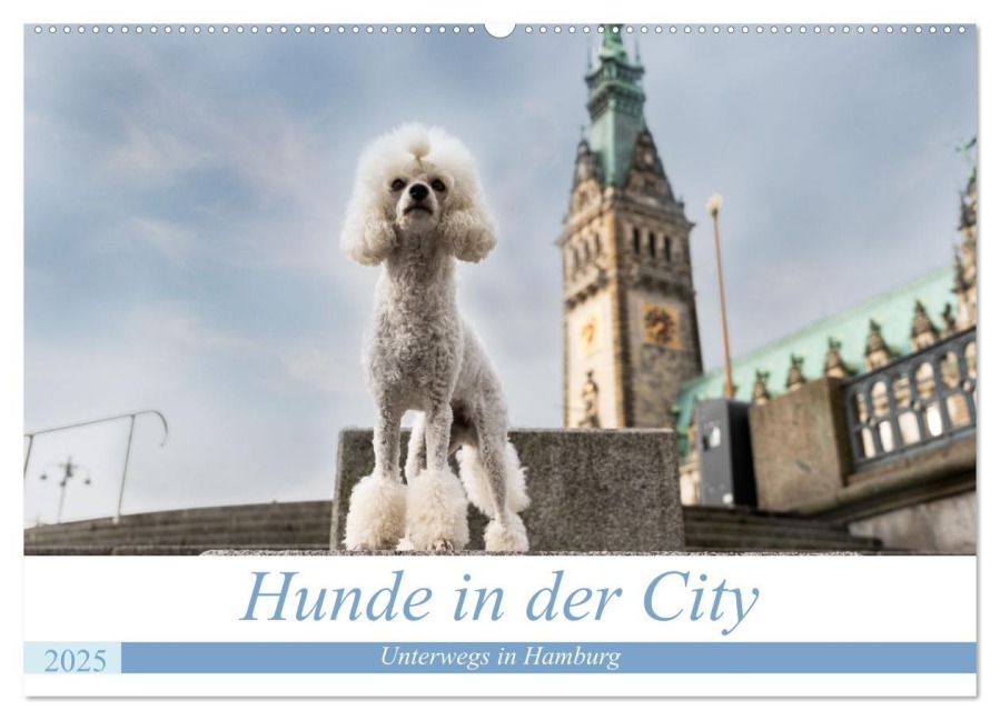 Hunde in der City - Unterwegs in Hamburg (Wandkalender 2025 DIN A2 quer), CALVENDO Monatskalender - Sonja Teßen