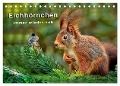 Eichhörnchen - immer wieder süß (Tischkalender 2024 DIN A5 quer), CALVENDO Monatskalender - Peter Roder