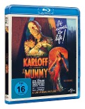 Cover-Bild zum Titel 'Die Mumie' von 'Nina Wilcox Putnam, Richard Schayer, John L. Balderston, James Dietrich'