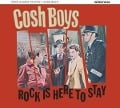 Cover-Bild zum Titel 'Rock Is Here To Stay' von 'Cosh Boys'