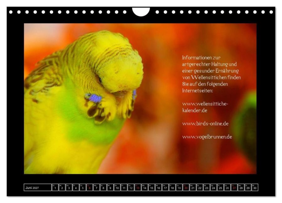 InsideView 11