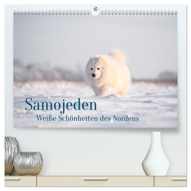 Samojeden - Liebenswerte Fellkugeln (hochwertiger Premium Wandkalender 2026 DIN A2 quer), Kunstdruck in Hochglanz - Annett Mirsberger
