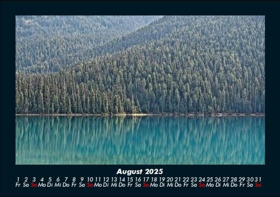 InsideView 12