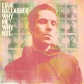 Cover-Bild zum Titel 'Why Me? Why Not.(Deluxe Edition)' von 'Liam Gallagher'