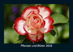 Cover-Bild zum Titel 'Pflanzen und Blüten 2026 Fotokalender DIN A5' von 'Tobias Becker'