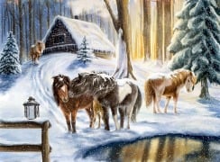 Cover-Bild zum Titel 'Wandkalender Winterpferde' von ''
