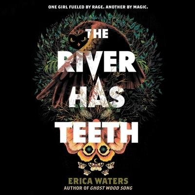 The River Has Teeth Lib/E - Erica Waters