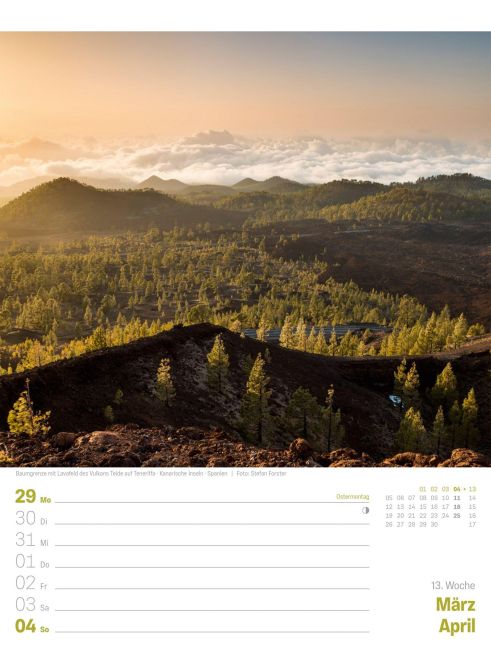 InsideView 17