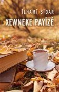 Cover-Bild zum Titel 'Xewneke Payize' von 'Ilhami Sidar'