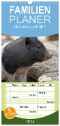 Familienplaner 2024 - Schwein gehabt! mit 5 Spalten (Wandkalender, 21 x 45 cm) CALVENDO - Antje Lindert-Rottke