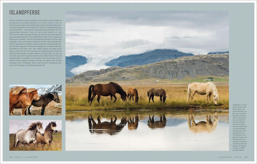 InsideView 15