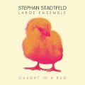 Cover-Bild zum Titel 'Caught in a Rug' von 'Stephan Large Ensemble Stadtfeld'