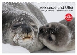 Seehunde und Otter. Putzige Gesellen, perfekte Schwimmer (Wandkalender 2025 DIN A3 quer), CALVENDO Monatskalender - Elisabeth Stanzer