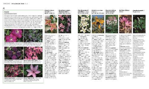 InsideView 8