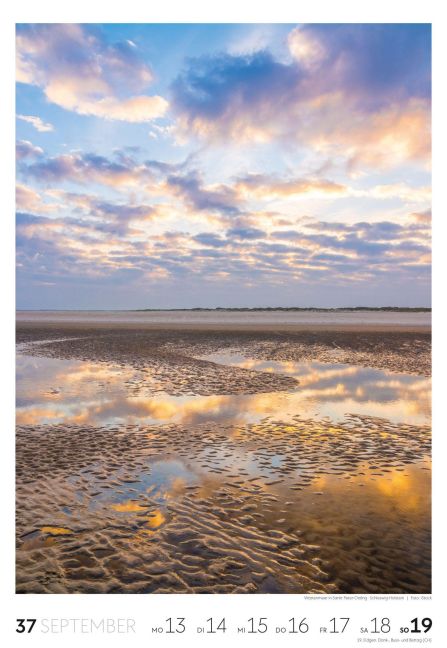 InsideView 38