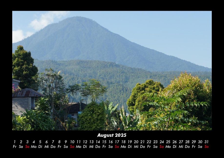 InsideView 12