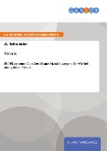 Cover-Bild zum Titel 'Strom' von 'A. Schneider'