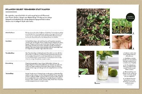 InsideView 4