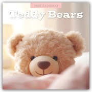 Cover-Bild zum Titel 'Teddy Bears - Teddybären 2027 - 16-Monatskalender' von 'Robin Red'