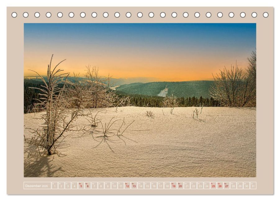 InsideView 4