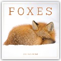 Foxes - Füchse 2025 - Wand-Kalender - Carousel Calendar