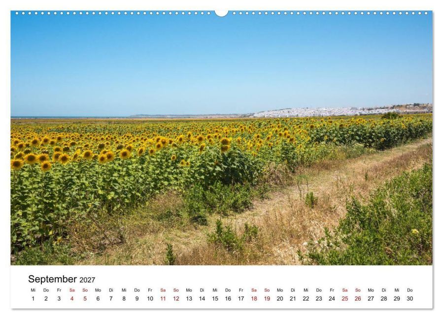 InsideView 13