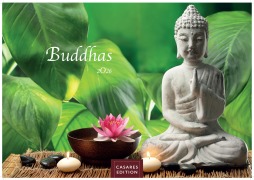 Cover-Bild zum Titel 'Buddhas Kalender 2026 - Wandkalender | Fotokalender Asien 35x50cm | Spirituelle Abbildungen Buddhas | Perfekt für Meditation & Raumdekoration' von ''
