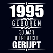 Cover-Bild zum Titel '1995 Geboren 30 Jaar Tot Perfectie Gerijpt' von 'Albaspirit Gastenboeken'
