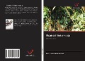 Cover-Bild zum Titel 'Fizjatria i fitofarmacja' von 'Patrick Bakwanamaha'