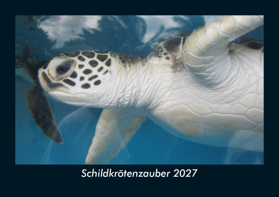 Schildkrötenzauber 2027 Fotokalender DIN A5 - Tobias Schmitt, Kevin Heber