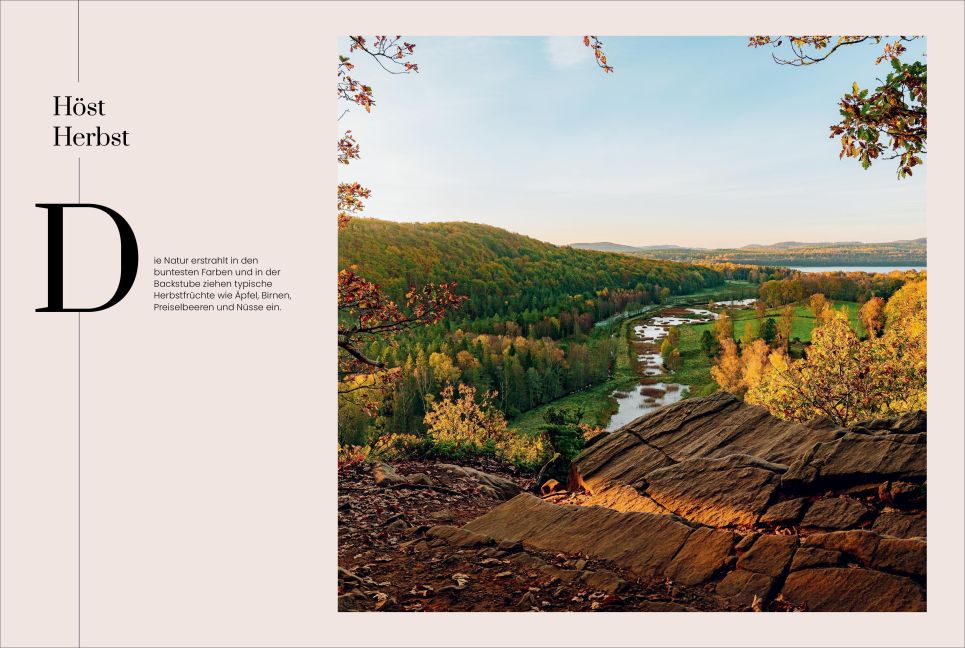 InsideView 5