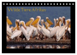 Wilde Tiere Afrikas (Tischkalender 2026 DIN A5 quer), CALVENDO Monatskalender - Uta Depner