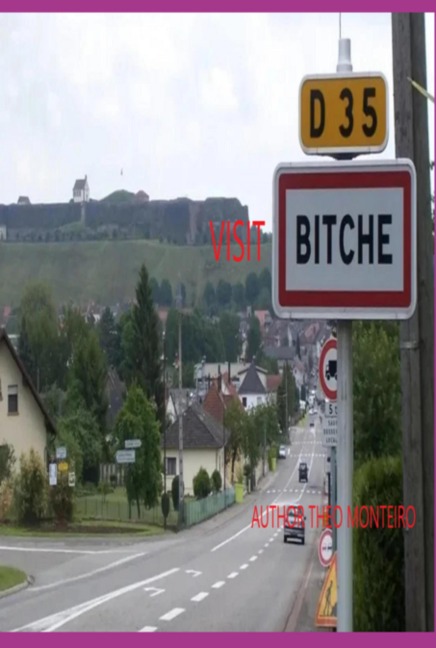 Visit Bitche! - Theobaldo Veira Monteiro