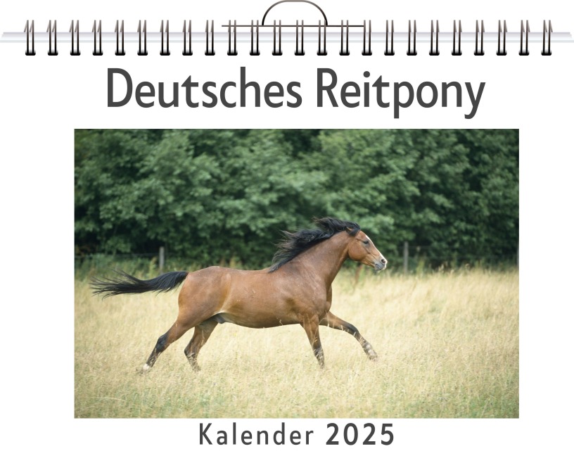 Deutsches Reitpony - Mia Schneider