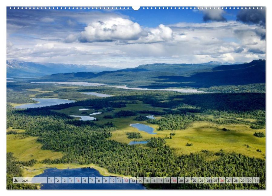 InsideView 12