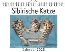 Sibirische Katze - Clara Hoffmann