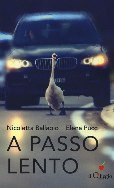 A passo lento. Pensieri, idee, proposte per educare alla lentezza nel tempo della velocità - Nicoletta Ballabio, Elena Pucci