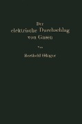 Der elektrische Durchschlag von Gasen - Berthold Gänger