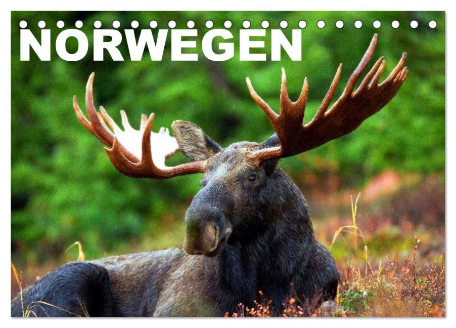 Norwegen (Tischkalender 2026 DIN A5 quer), CALVENDO Monatskalender - Elisabeth Stanzer