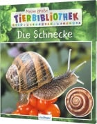 Cover-Bild zum Titel 'Meine große Tierbibliothek: Die Schnecke' von 'Paul Starosta'