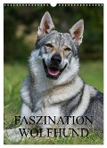 Faszination Wolfhund (Wandkalender 2024 DIN A3 hoch), CALVENDO Monatskalender - Sigrid Starick