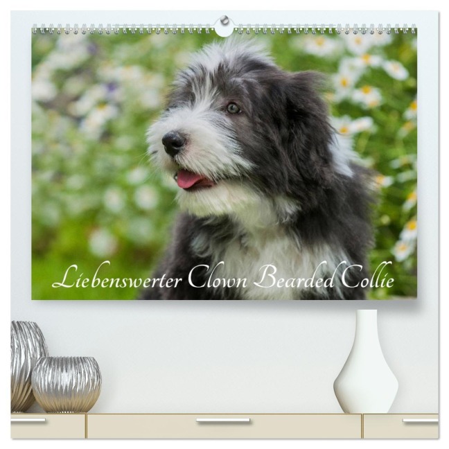 Liebenswerter Clown Bearded Collie (hochwertiger Premium Wandkalender 2026 DIN A2 quer), Kunstdruck in Hochglanz - Sigrid Starick