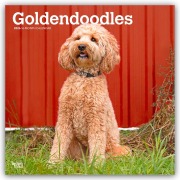 Goldendoodles - Goldendoodle 2026 - 16-Monatskalender - Browntrout Publishers