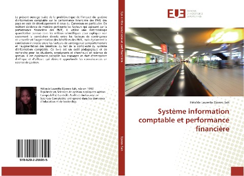 Système information comptable et performance financière - Héloïde Lauretta Djonzo Sah