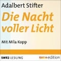 Cover-Bild zum Titel 'Die Nacht voller Licht' von 'Adalbert Stifter'