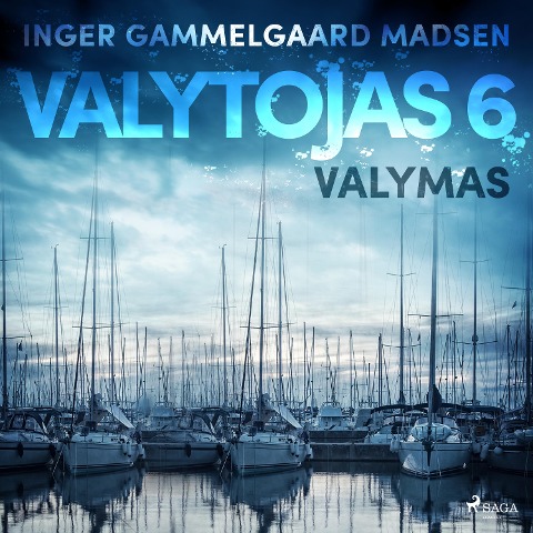 Valytojas 6: Valymas - Inger Gammelgaard Madsen