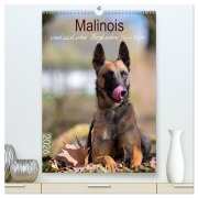 Cover-Bild zum Titel 'Malinois verlässliche Begleiter (hochwertiger Premium Wandkalender 2026 DIN A2 hoch), Kunstdruck in Hochglanz' von 'Tanja Riedel'
