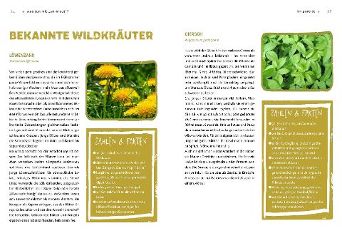InsideView 6