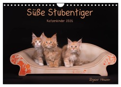 Süße Stubentiger - Katzenkinder (Wandkalender 2026 DIN A4 quer), CALVENDO Monatskalender - Regine Heuser