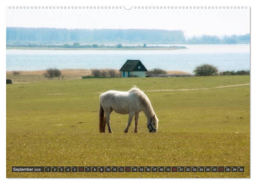 InsideView 13